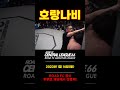 호랑나비 그로기 심한 타격을 받아 몸을 가누지 못하고 비틀거리는 상태 shorts