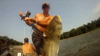 Asian Carp Spearfishing