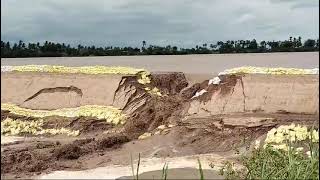 బాపట్ల జిల్లా కొల్లూరు మండలం పెసర్లంక అరవింద వారధి ప్రక్కన ఉన్న కట్ట కోతకు గురవుతున్న దృశ్యం