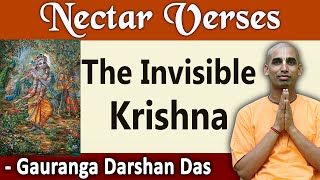 The Invisible Krishna | Nectar Verses (SB 1.8.18) | Gauranga Darshan Das