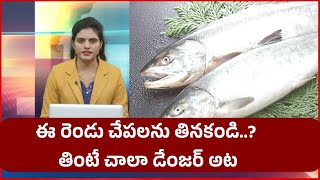 Danger Fish. ఈ రెండు చేపలను తినకండి. తింటే చాలా డేంజర్ అట