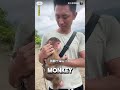 girl saves monkey from unfortunate fate ❤️ animalshorts animals wholesome