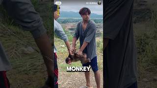 Girl Saves Monkey From Unfortunate Fate ❤️#animalshorts #animals #wholesome