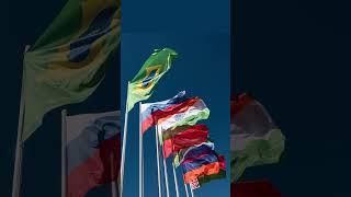 The Implications of an Expanding BRICS Alliance