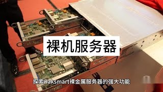 探索Raksmart裸金属服务器的强大功能