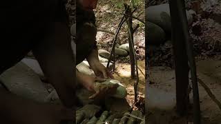 Bushcraft skills #bushcraft #survival #camping #outdoors #lifehacks #forest #shorts Part 2
