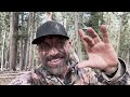 new mexico archery elk hunt second season the comeback final episode