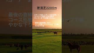 【競馬豆知識】新潟競馬場芝2200mコースの特徴を解説！ #競馬 #新潟競馬場 #傾向  #血統 #競馬予想