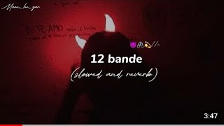 12 bande - slowed and reverb - attitude song #trending #song #lofisong @Indian-army782 #viral
