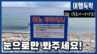 수평선은 역시 양양군 몽돌해변! 몽돌은 지켜주세요! [여행독학  3화] 정암해변 국토대장정 배낭여행 2000km여행