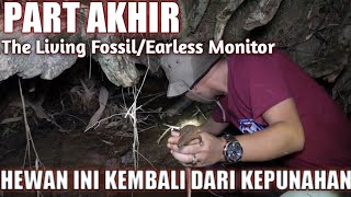 THIS EARLESS MONITOR HAS RISEN FROM EXTINCTION!!! EXPEDITION OF THE NATIONAL BORDER/ DINAL PART