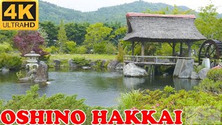 Oshino Hakkai, Mt. Fuji in 4K - 忍野八海 富士山 - Japan As It Truly Is