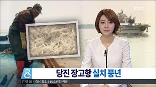 [대전MBC뉴스]'봄철 별미' 실치잡이 한창