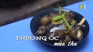 Thưởng ốc mùa Thu | Nhịp sống Hà Nội