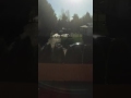 Chanda o Chanda kisne churai, Teri meri nindiya