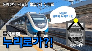 동해선의 뉴 보스! 포항발 누리로 탑승기