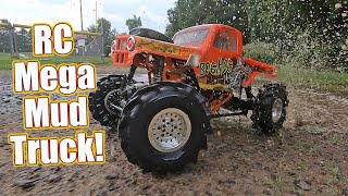 RC Car Built For Mud! Losi LMT Bog Hog Mega Truck | RC Driver