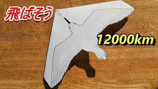 【谷津干潟自然観察センター】5月★キアシシギの紙ひこうき【季節のあ～と】