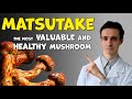 Matsutake: health benefits of the most valuable Japanese mushroom