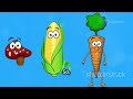 how food becomes poo