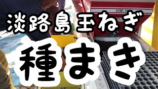 淡路島玉ねぎ種まき