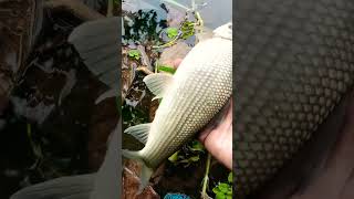 ചില സന്തോഷങ്ങൾ ഇങ്ങനെയും ആവാം😍🥰🐠🐠🐟🐟🎣🎣