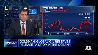 Goldman Sachs: Global oil reserves release is 'a drop in the ocean'