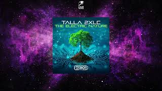 Talla 2XLC - The Electric Nature (Extended Mix) [TECHNOCLUB RETRO]