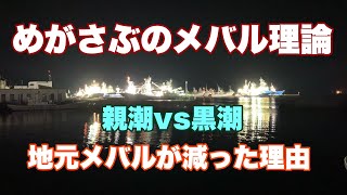 [メバリング]親潮と黒潮の狭間の白メバル[メバル釣り]