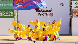 [4K] みやざきえれこっちゃ隊　YOSAKOIさせぼ祭り 2023 日曜日 (中央)