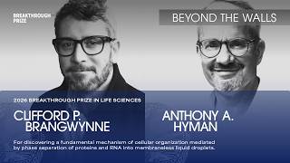 BEYOND THE WALLS: Cliff Brangwynne and Anthony Hyman Discover a New Cellular Process