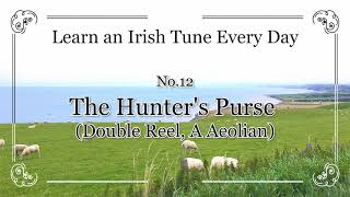 012 The Hunter's Purse (Double Reel, A Aeolian)  Learn an Irish Tune Every Day.