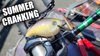 Shallow Summer Cranking | 13 Fishing Scamp Crankbait