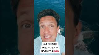 Jak złowić wieloryba w Norwegii 🇳🇴 #norwegia #mojanorwegia #wieloryb