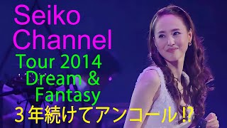 【ネイティブHD画質】 松田聖子 － ３度目のアンコール（Tour 2014 Dream \u0026 Fantasy ）