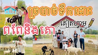 ផឹកទឹកដោះពពែនិងគោស្រស់ៗ សត្វជាច្រើនប្រភេទនៅក្នុងកសិដ្ឋានចិញ្ចឹមជៀម