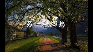 另一種鄉愁                                                                       【懷念老歌輕音樂系列】