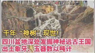 盆地深处发掘神秘远古王国，出土8000岁“神木”，专家：重达20吨，无法搬运【华夏传奇】