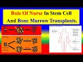 Role of Nurse in Stem Cell and Bone Marrow Transplantation