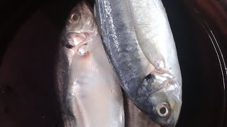 വറ്റ മീൻ എങ്ങനെ വൃത്തിയാക്കാം. how to clean vatta fish in malyalm