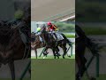 チューリップ賞枠順確定後データ予想 競馬 競馬予想