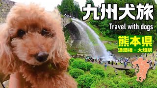 【九州犬旅 3800キロ 車中泊】熊本の出世する駅と通潤橋の放水を見て霜降り馬刺し堪能！｜九州旅行｜大畑駅｜通潤橋｜馬刺し｜キャンピングカー｜車中泊｜INUVAN│バンライフ│NV200│