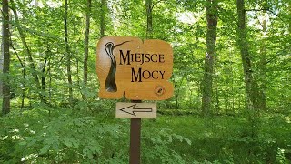 Miejsce mocy w Puszczy Białowieskiej / A place of power in the Białowieża Forest