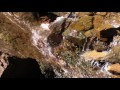 Закарпатье Водопад в Карпатах waterfall carpathians