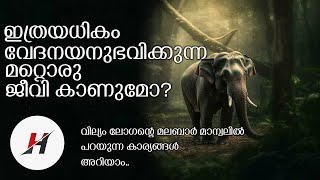 ആനയുടെ നരക ജീവിതം ലോഗൻ വിവരിക്കുന്നത് ഇങ്ങനെയാണ്..