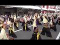 炎～ほむら～／升形地域競演場（本祭2日目）／第60回よさこい祭り（高知）