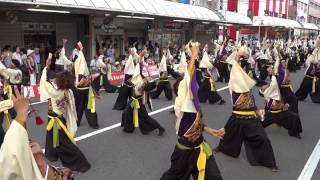 炎～ほむら～／升形地域競演場（本祭2日目）／第60回よさこい祭り（高知）