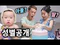 클로이 동생 성별을 공개합니다!🎉아들? 딸? 둘째 태명 공개!