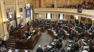 Virginia House passes resolutions protecting abortion, voting rights, marriage equality