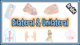 21. Bilateral \u0026 Unilateral Terms || مصطلحات الثنائي الجانب و الوحيد الجانب